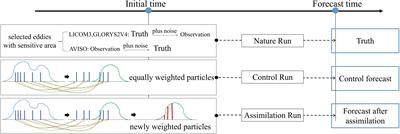 Evaluation of the sensitivity on mesoscale eddy associated with the sea surface height anomaly forecasting in the Kuroshio Extension